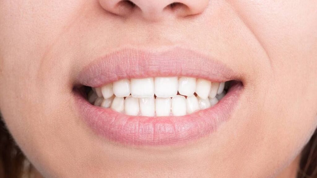 image d'une belle dentition découverte qui ferait repousser les dents