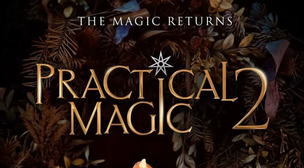 image Practical Magic 2