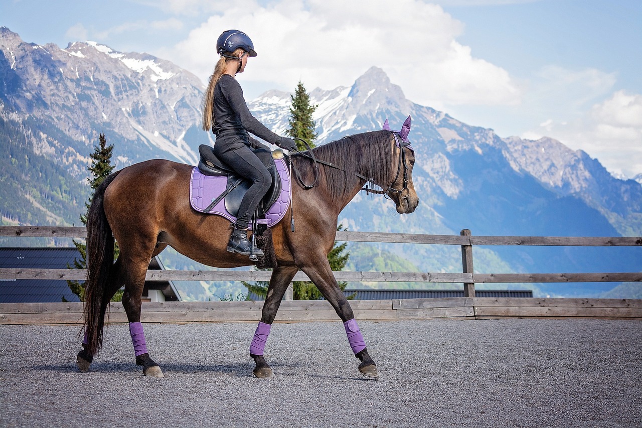 3 conseils pour progresser rapidement en équitation
